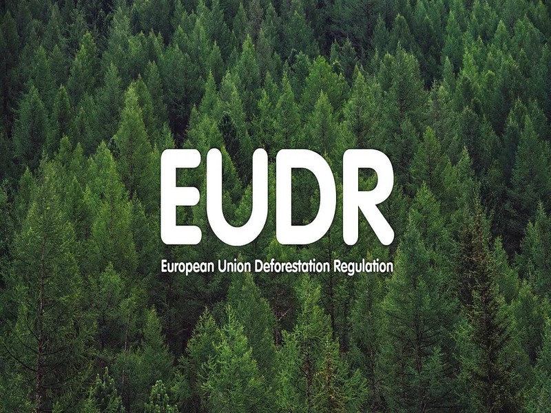 EUDR Regulation